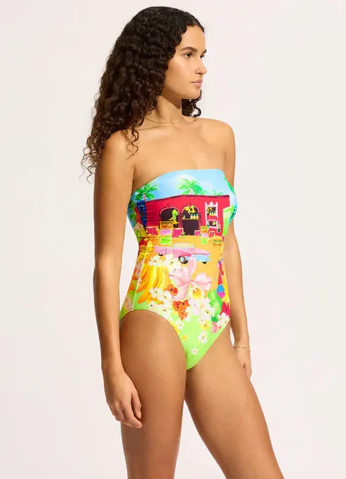 Цельный купальник Seafolly 11099-231