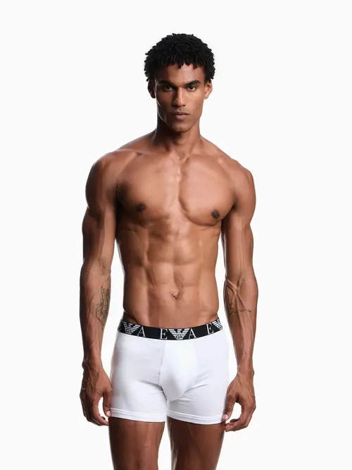 Мужские боксеры 3 шт. Emporio Armani EM000261-b-g-w - Фото 3
