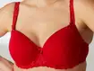 3D Printer Bra